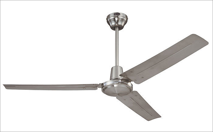 ceiling_fan_cleaning.jpg